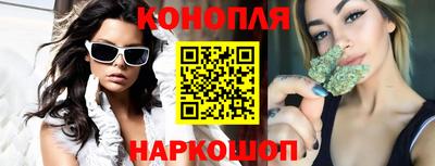 амф Новозыбков