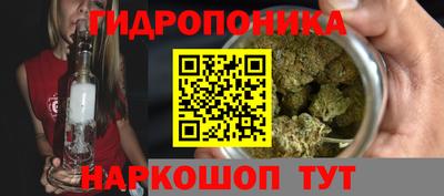 амф Новозыбков