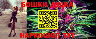 амф Новозыбков