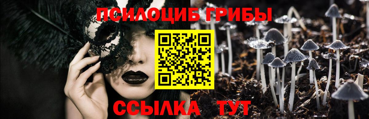 Тайшет  Псилоцибиновые грибы мухоморы  Вход с VPN 